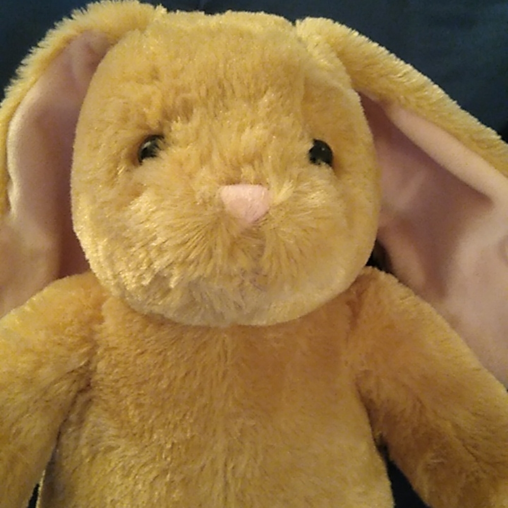 Build-A-Bear bunny rabbit 14 in high, pink nose pink ears, BAB